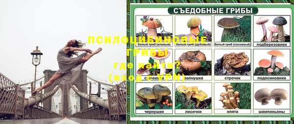 МДПВ Аркадак
