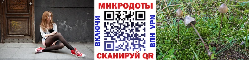 Галлюциногенные грибы мицелий  наркошоп  Кубинка 