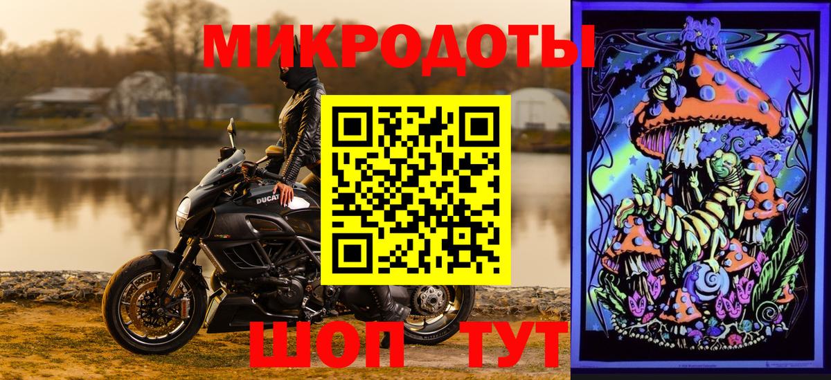 Кубинка  Псилоцибиновые грибы Psilocybine cubensis  Вход с VPN 