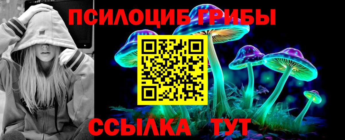 Псилоцибиновые грибы MAGIC MUSHROOMS Кубинка